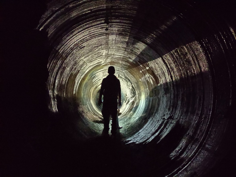 Thumbnail of photo from this article